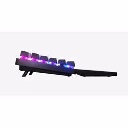Steelseries APEX PRO TKL clavier USB + RF Wireless + Bluetooth AZERTY Français Noir