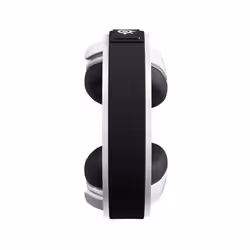 Steelseries Arctis 7P+ Noir, Blanc