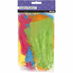 Creativ Company 518460 plume Multicolore