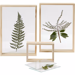 Creativ Company 56748 cadre photos Cadre pour une seule photo Transparent, Bois - Vue supplémentaire 4