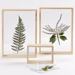 Creativ Company 56748 cadre photos Cadre pour une seule photo Transparent, Bois - Vue supplémentaire 5