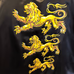 Liontouch 5707307291036 déguisement Enfant Mâle