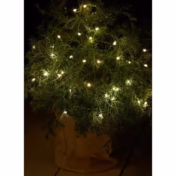 Sirius Home 30830, Vert, 40 lampe(s), LED, Batterie, AA, 3900 mm
