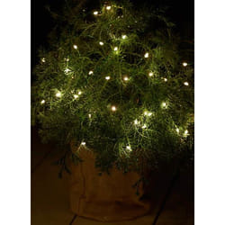 Sirius Home 30830 lumière décorative Vert 40 lampe(s) LED