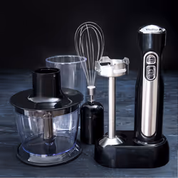 GASTRONOMA 18210002, Mélangeur par immersion, 0,7 L, 100 W, Noir, Acier inoxydable