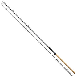 Canne à pêche Westin W3 Powerspin-T 2sec 330cm 20-80g en carbone