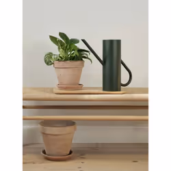Stelton Bloom Arrosoir 2 L Vert