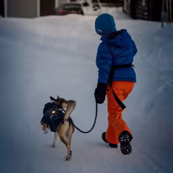 Orbiloc Dog Dual Jaune Plastique Chien Batterie du collier - Vue supplémentaire 5