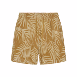 Short Revolution Terry