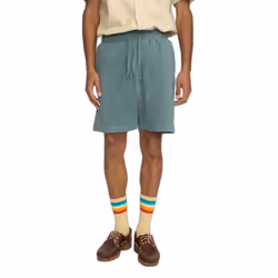 Short Revolution