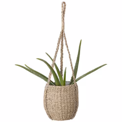 Panier Cache-pot suspendu en herbes de mer pour plantes ou fleur - Intérieur plastique étanche Complètement fan de ce panier ...