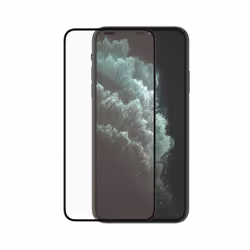 PanzerGlass 2666 écran et protection arrière de téléphones portables Protection d'écran transparent Apple 1 pièce(s)