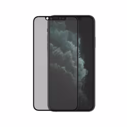 PanzerGlass P2669 écran et protection arrière de téléphones portables Protection d'écran transparent Apple 1 pièce(s)