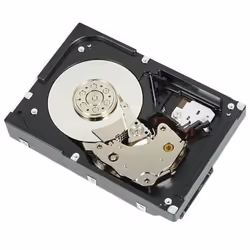 Dell Wyse 400-APEH, 3.5", 1 To, 7200 tr/min