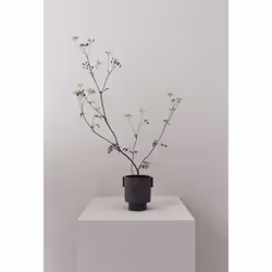 OYOY L10059, Pot pour plante, Autonome, Vitrocéramique, Gris, Intérieure, Monochromatique