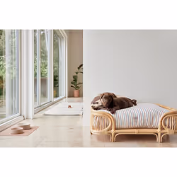 OYOY Kaya Chien Polyester Beige, Marron