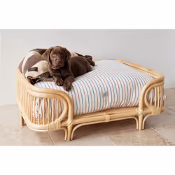 OYOY Kaya Chien Polyester Beige, Marron