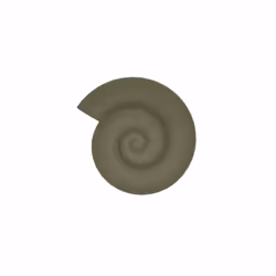 OYOY Nautilus, 150 mm, 165 mm, 1,2 cm, 1 pièce(s)