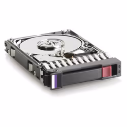 HPE 300GB 6G SAS 10K rpm 2.5-inch Dual Port Enterprise Hard Disk Drive, 2.5", 300 Go, 10000 tr/min