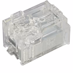 Ricoh Type W