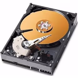 CoreParts 40GB IDE 3.5", 3.5", 40 Go, 7200 tr/min