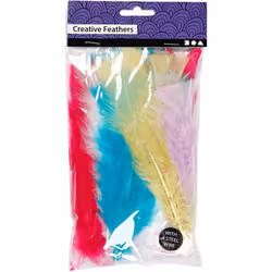 Creativ Company 518490 plume Multicolore