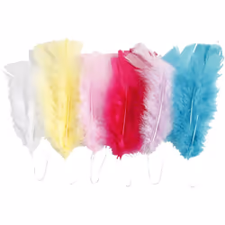 Creativ Company 518490 plume Multicolore