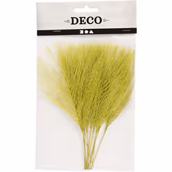 Creativ Company 518058 plume Vert