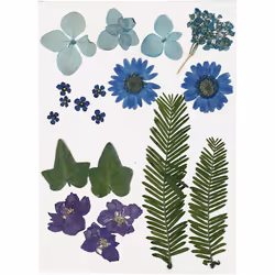 Creativ Company 504472, Intérieure, Plante fleurie artificielle, Multicolore, 19 pièce(s)
