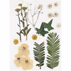 Creativ Company 504473, Intérieure, Plante fleurie artificielle, Multicolore, 19 pièce(s)