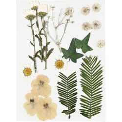 Creativ Company 504473 plante artificielle Intérieure Plante fleurie artificielle