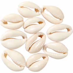 Creativ Company 61016 perle Beige 6 pièce(s)