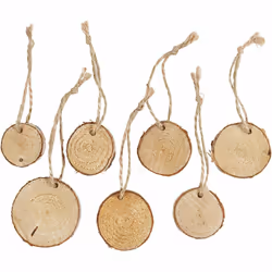 Creativ Company 50281, Kit de loisirs créatifs pour enfants, Bois, Bois, 7 pièce(s)