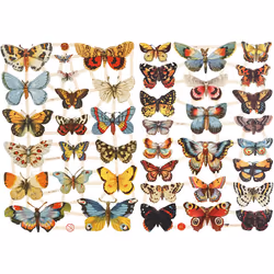 Creativ Company 19352, Papier, Multicolore, Motif animal, Butterfly, Gloss, 165 mm