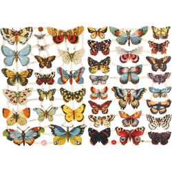 Creativ Company 19352 autocollant décoratif Papier Multicolore