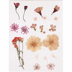 Creativ Company 504474, Multicolore