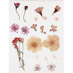 Creativ Company 504474 autocollant décoratif Multicolore