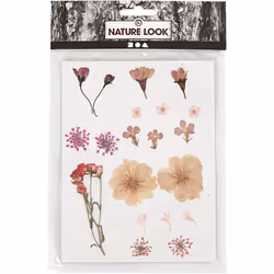 Creativ Company 504474 autocollant décoratif Multicolore
