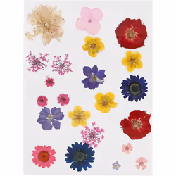 Creativ Company 504475, Couleurs assorties