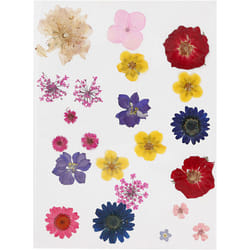 Creativ Company 504475 autocollant décoratif Couleurs assorties