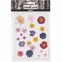 Creativ Company 504475 autocollant décoratif Couleurs assorties