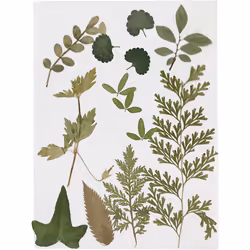 Creativ Company 504476, Vert