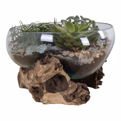 House Nordic 4501054 Bol décoratif Bois Verre, Acier