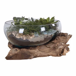 House Nordic 4501054 Bol décoratif Bois Verre, Acier