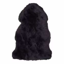 House Nordic 3981004, Coussin assise et dossier, Chaise, Cuir, Noir, 500 mm, 850 mm