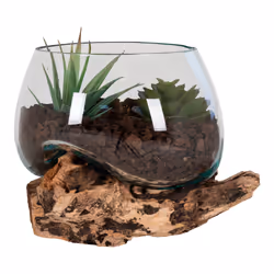 House Nordic San Marino, Marron, Transparent, Verre, Acier, Bois, 15 cm, 150 mm, 1,5 kg