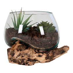 House Nordic San Marino Marron, Transparent Verre, Acier, Bois