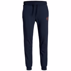 Jack &amp; Jones 12165322, Short, Adulte, Bleu, XXL, SML, Coton
