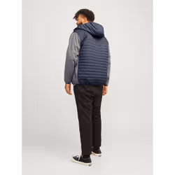 Veste hybride Capuche Manches longues Gris