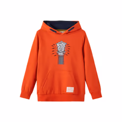 Sweatshirt à capuche enfant Name it Movab